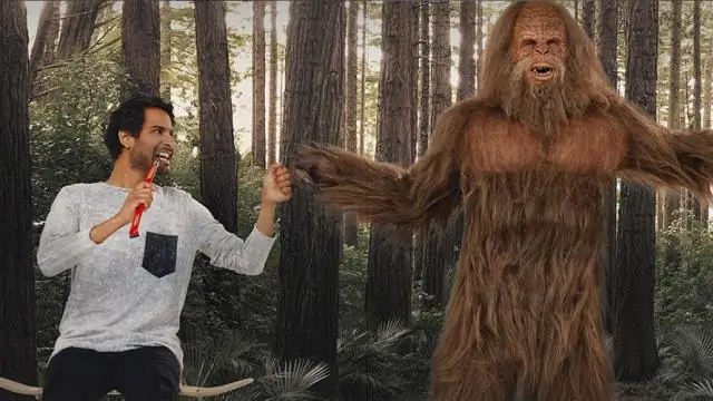 15. Кармайкл Линч