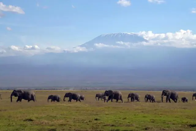 Кения объявляет команды по олимпийскому марафону