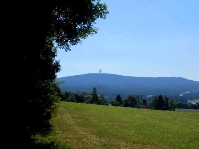 Почему мне до сих пор снятся стрессовые сны о беговой дорожке