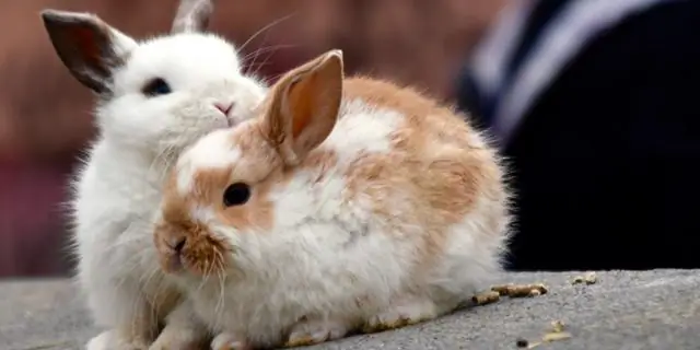 Советы профессионалов в области приключенческого туризма