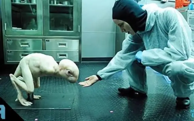 Человеческая природа