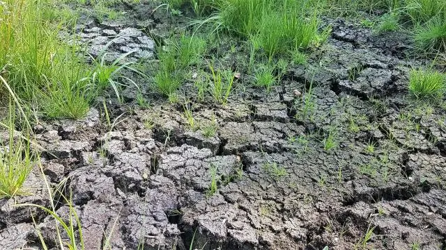 Как Public Lands планируют бороться с толпой этим летом