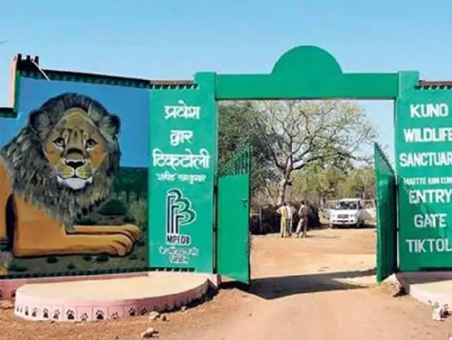 8 музеев Африки, которые обязательно должен посетить каждый темнокожий путешественник