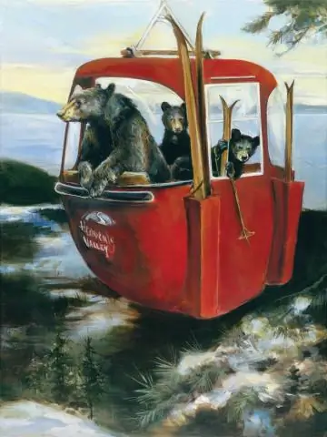 Гондолы несут траур