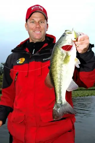 Туман, рыбы нет, но пресная вода