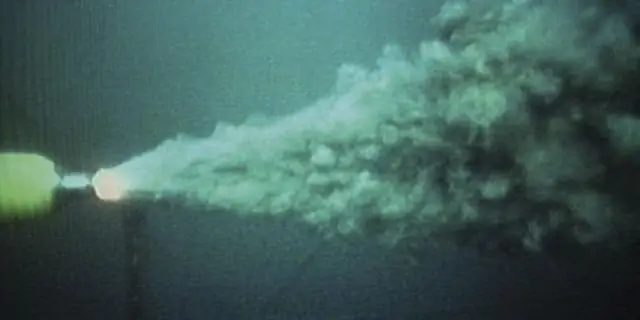 Смена караула в DSV