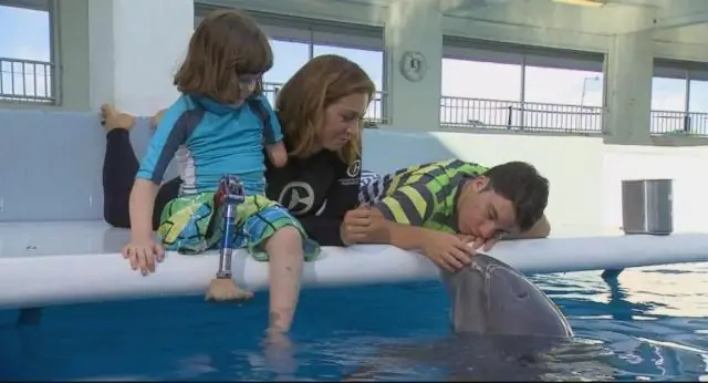 Гандикап переходит в онлайн