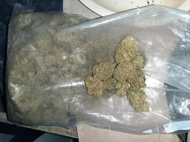 Первая оценка после цунами