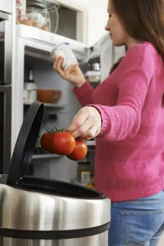 123-я Кильская неделя под новым руководством