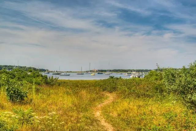 Успешная регата с угрями