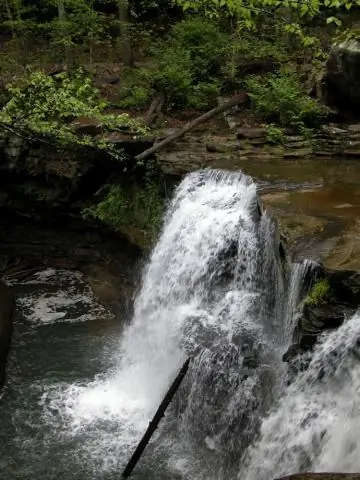 Последние 6 дней