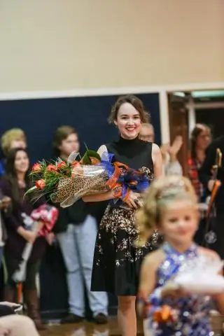 Новости с "Бегемота"