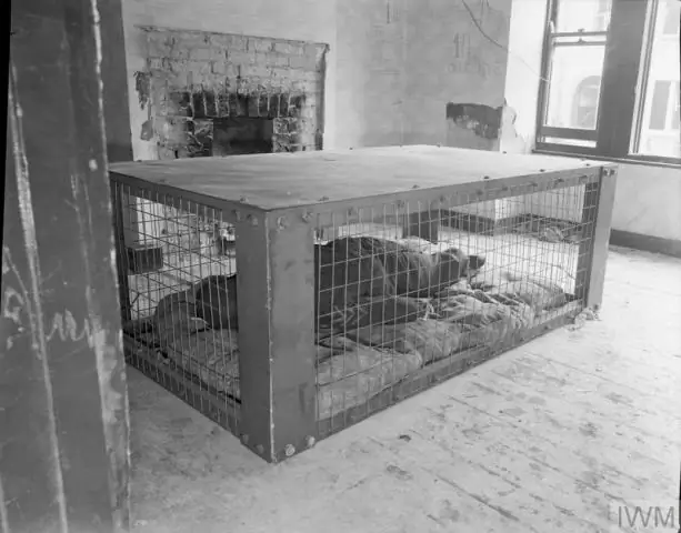 Бомба перед Засницем