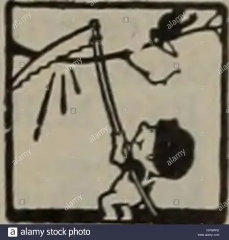 Сэр Робин: «Титул« леди », безусловно, будет уместным»