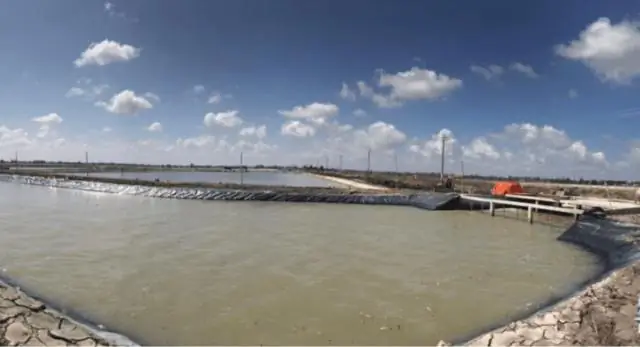 Компании в охоте за тоннами