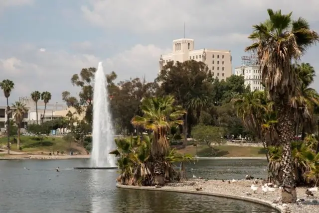 Макартур: "Она должна пройти через это сейчас"