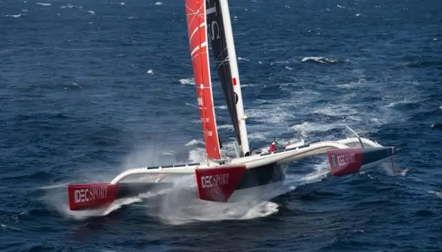 Эллен Макартур: Канарейки на траверзе всего через 72 часа