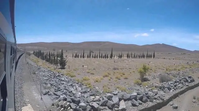 Шошолоза с подкреплением