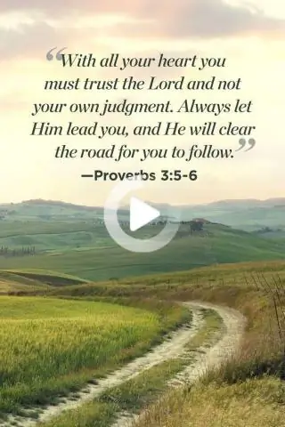 «Наши поражения были хороши для всех»