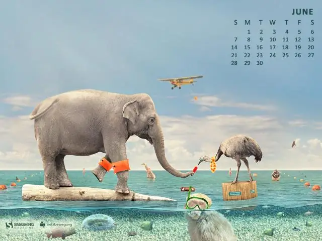 Третья победа Германии