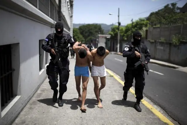 Жесткие бои за весеннюю неделю во Фленсбурге