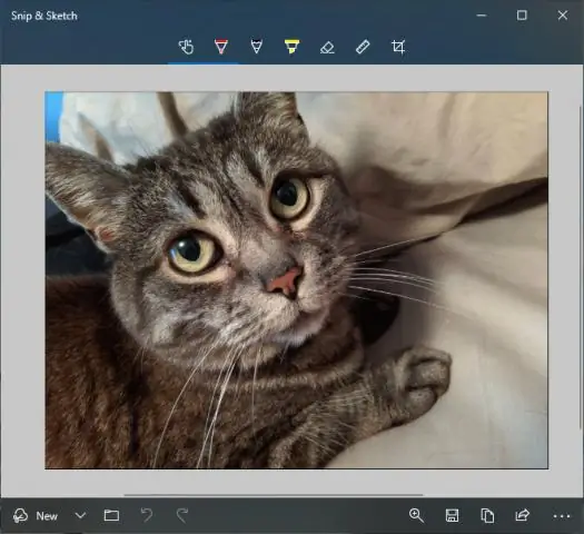 United Internet Team Germany представляет себя в Киле