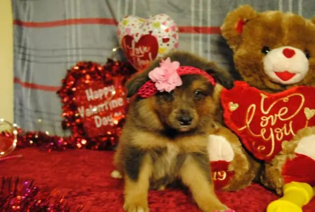 Возможно быстрое решение