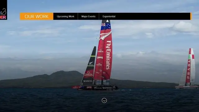 Команда Новой Зеландии подает в суд на Алинги