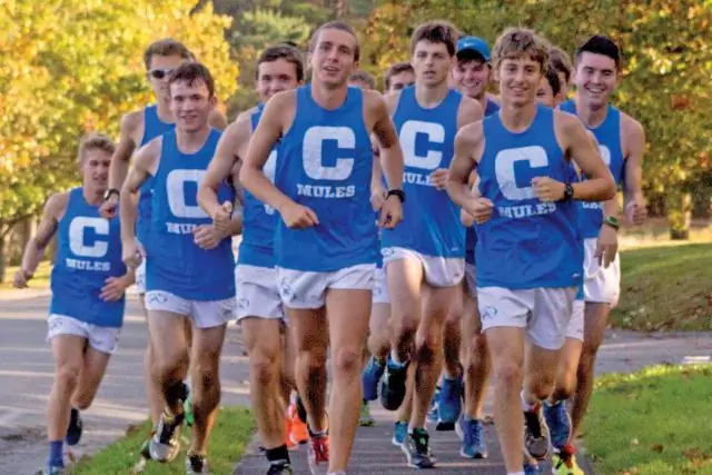 Сверните поле сзади