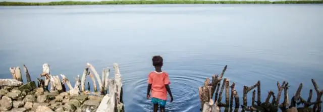 Охота через Северное море началась