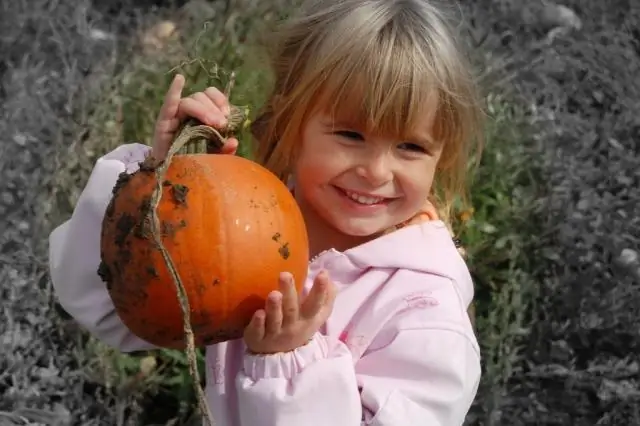 Сыро, холодно и измучено