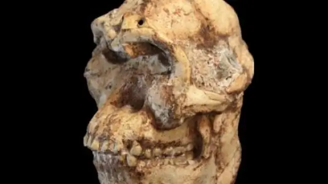 Остается захватывающим