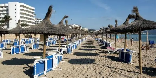 Вандея: смена руководства после «перезагрузки»