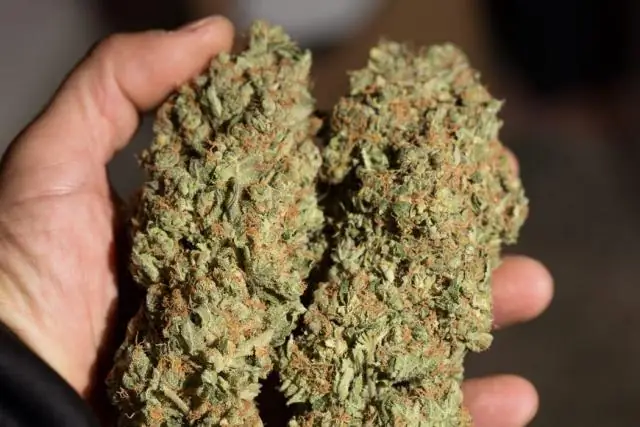 Женский экипаж снова атакует