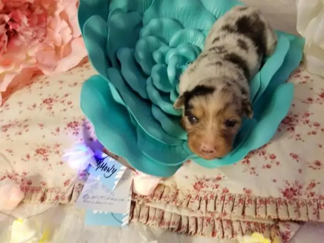 Особенно сейчас