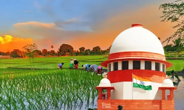 12 акт начинается завтра