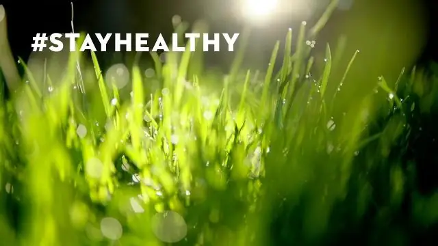 Баур снова на вершине