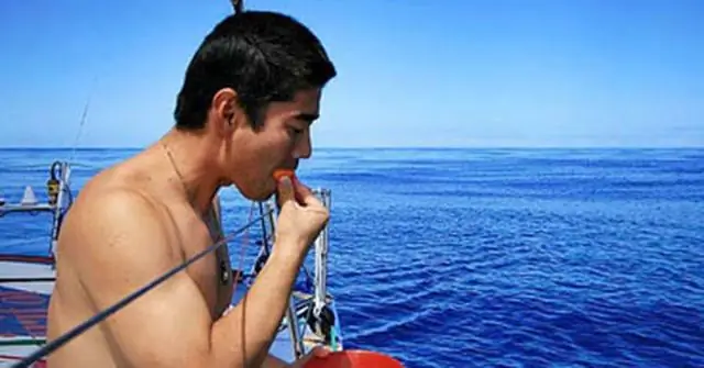 Velux 5 Oceans: Шираши на финише