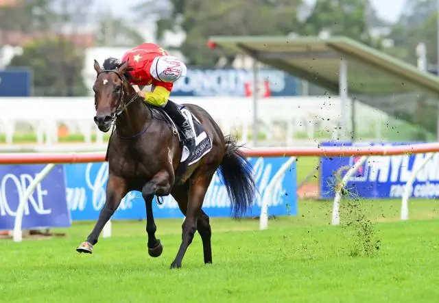 Бег за Fastnet Rock