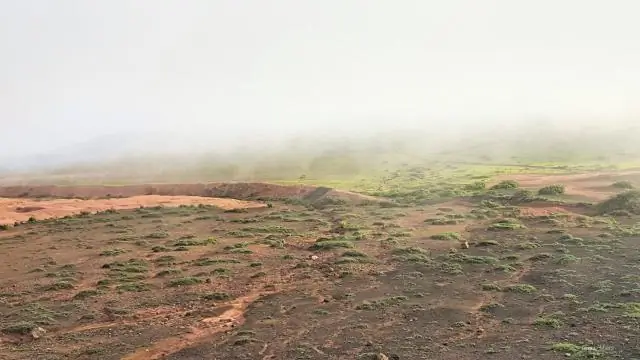 Контрольно-пропускной пункт Канарские острова
