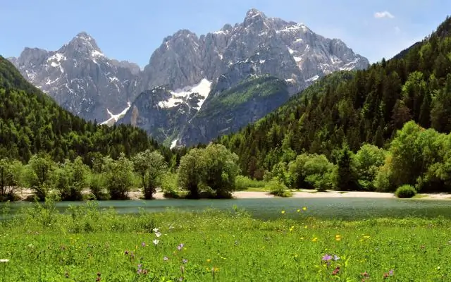 Гэблер / Штрукманн в позиции ожидания
