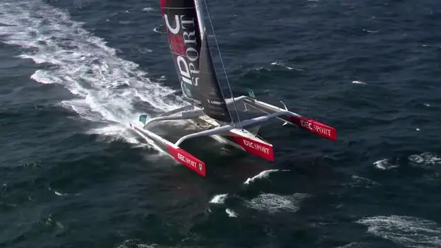 Фрэнсис Джойон: «Капитан Невероятный» снова на гастролях