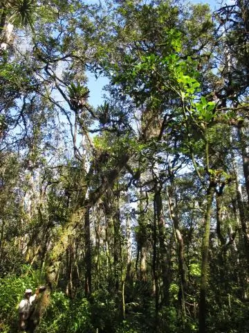 Большое появление "Mean Machine" на Med Cup