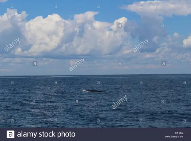 «Мы постепенно осознаем, насколько это огромная сцена»