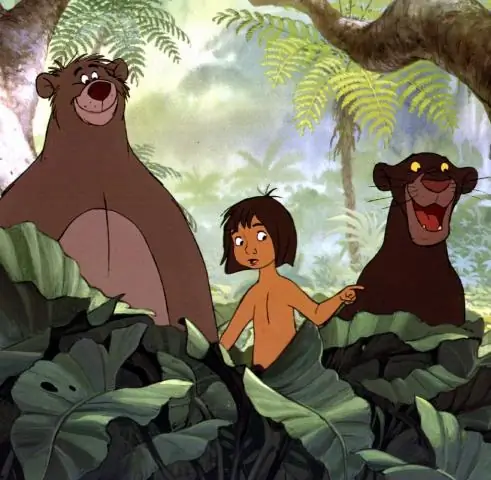 Blu Balu Yachting: Открыто производство по делу о несостоятельности